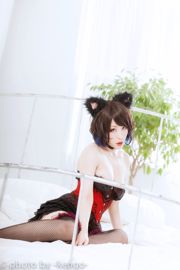 Usagi Necomimi [Gato Solo] [Conejera]