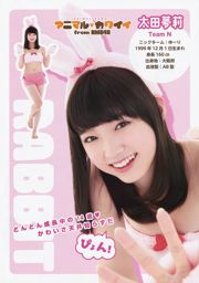 NMB48 Akari Yoshida Kei Jonishi Miyuki Watanabe Kaede Yagura Aya Yamamoto Kanako Muro [Jovem Animal] 2014 No.17 Fotografia